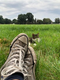 atelier-ammerland-táblák-signs-schilder (20).JPEG
