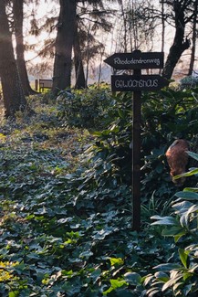 Atelier_Ammerland_tábla_sign_schild_pagony (14).JPEG