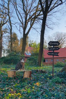 Atelier_Ammerland_tábla_sign_schild_pagony (16).JPEG