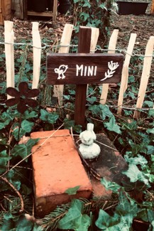 Atelier_Ammerland_tábla_sign_schild_pagony (2).JPEG