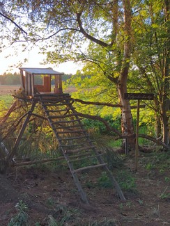 Atelier_Ammerland_tábla_sign_schild_pagony (23).JPEG