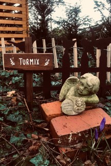 Atelier_Ammerland_tábla_sign_schild_pagony (4).JPEG