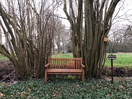 Atelier_Ammerland_tábla_sign_schild_pagony (7).JPEG