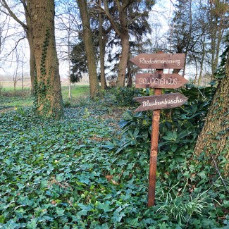 Atelier_Ammerland_tábla_sign_schild_pagony (7).jpg